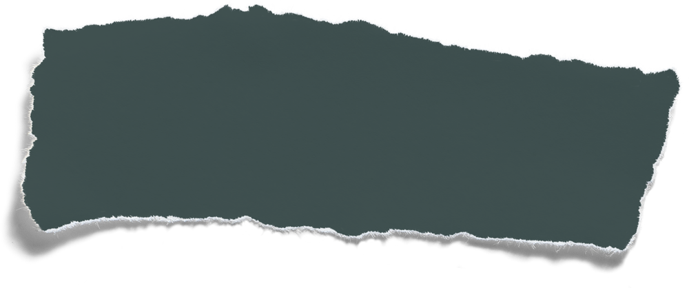 section of torn paper